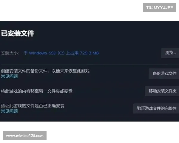 魔改显卡一开游戏就卡顿的原因及解决方法分析